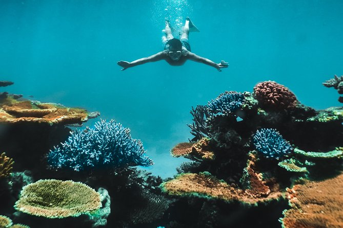 Great Barrier Reef Cruise from Townsville or Magnetic Island - On the 45-Foot Custom Boat: Food, Shade, and a Crew That Runs Tight
