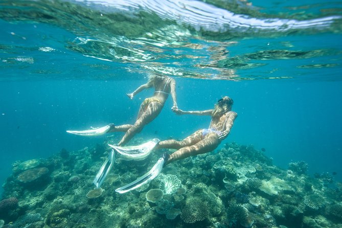 Great Barrier Reef Cruise from Townsville or Magnetic Island - Snorkeling Option: Clear Water, Coral Channels, and Smart Buoyancy Help