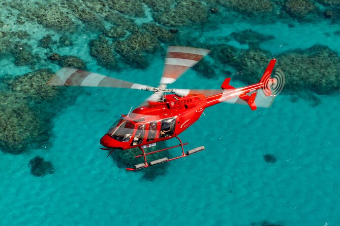 Great Barrier Reef or Rainforest Scenic Flights from Port Douglas - Key highlights you’ll actually care about