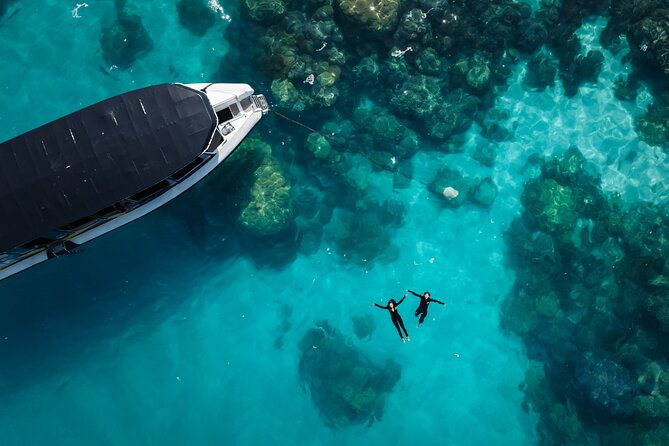 Great Barrier Reef Small Group Snorkelling Adventure - Key highlights to know before you go