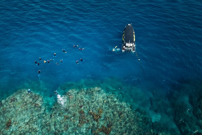 Great Barrier Reef Small Group Snorkelling Adventure - Snorkel gear, stinger suit, and safety that isn’t just paperwork