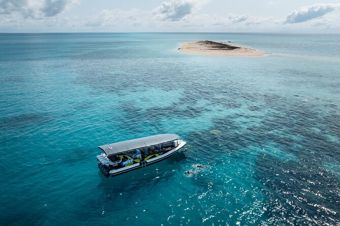 Great Barrier Reef Small Group Snorkelling Adventure - Lunch, snacks, and drinks: staying comfortable during the long day