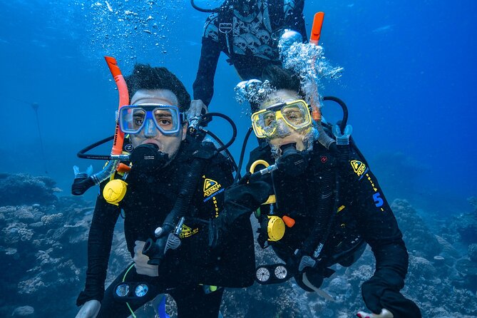 Great Barrier Reef with Cultural Guides-Dreamtime Dive & Snorkel - Boat time, meals, and the small-group feel that keeps you sane