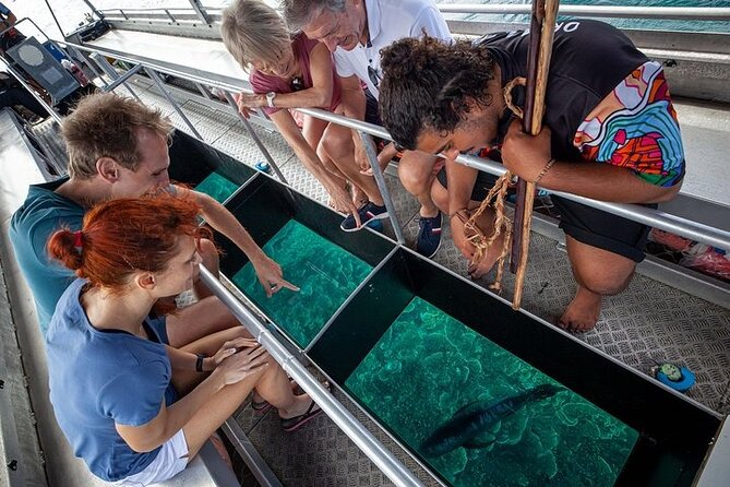 Great Barrier Reef with Cultural Guides-Dreamtime Dive & Snorkel - Who should book this snorkel safari (and who may want a different reef plan)