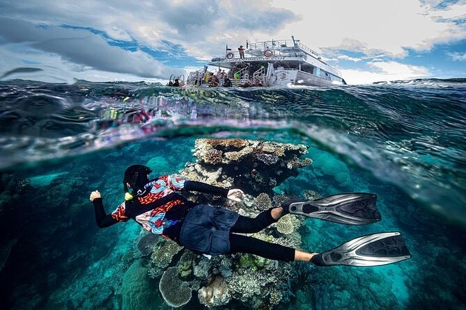 Great Barrier Reef with Cultural Guides-Dreamtime Dive & Snorkel - Milln or Flynn Reef (second stop): longer in-water time and wildlife spotting