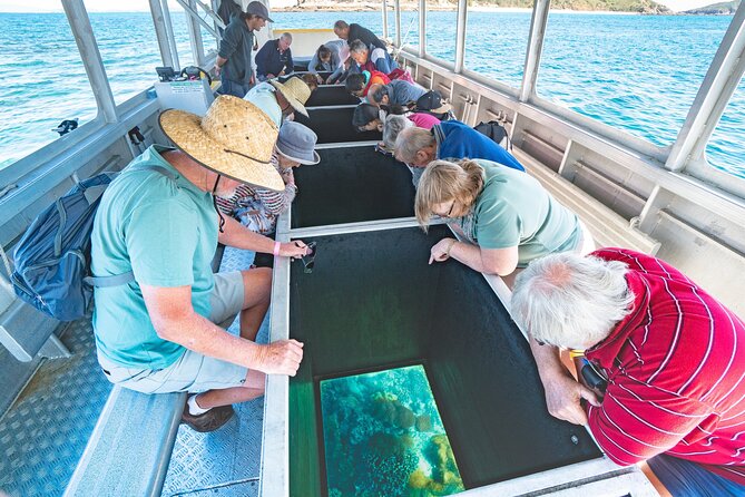 Great Keppel Island Adventure Tour - Snorkel and Boomnet - Glass-bottom boat reef viewing with marine science commentary