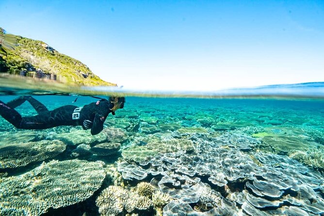 Great Keppel Island Day Trip with Lunch - The drinks perk: how it affects value