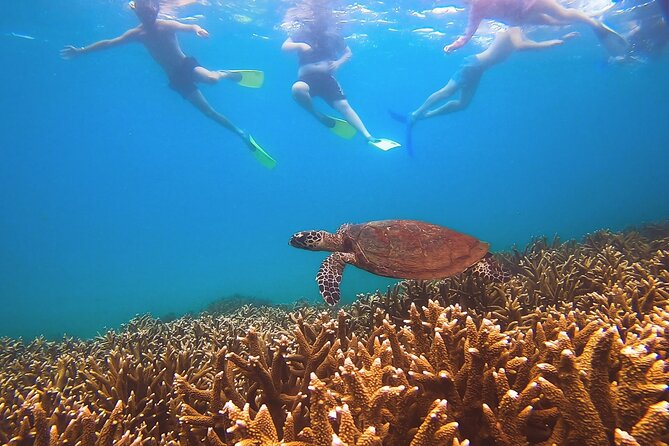Great Keppel Island Day Trip with Lunch - The Great Keppel Island day: beaches, reefs, and choosing your pace