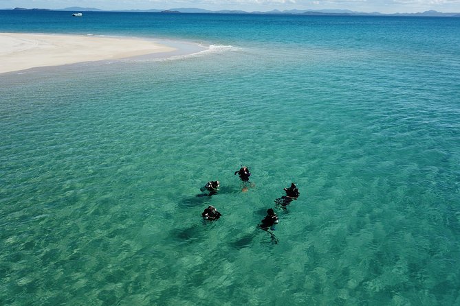 Great Keppel Island PADI Discover Scuba Dive with Keppel Dive - Key highlights worth circling