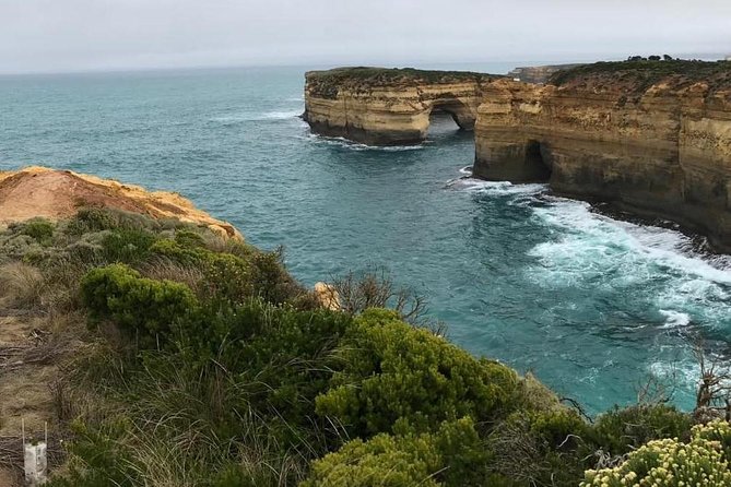 Great Ocean Road 12 Apostles kangaroo, koala and chocolate tour - Price and logistics: what $56.66 really buys you