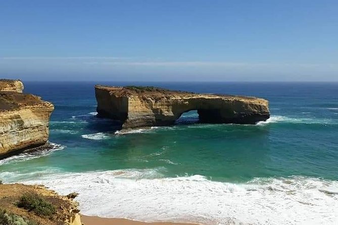 Great Ocean Road 12 Apostles kangaroo, koala and chocolate tour - Apollo Bay break: where lunch becomes your choice