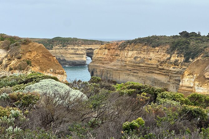 Great Ocean Road 12 apostles PRIVATE Luxury Tour 5 PAX all incl. - Twelve Apostles Time: Panoramic Views Without the Photo Chaos