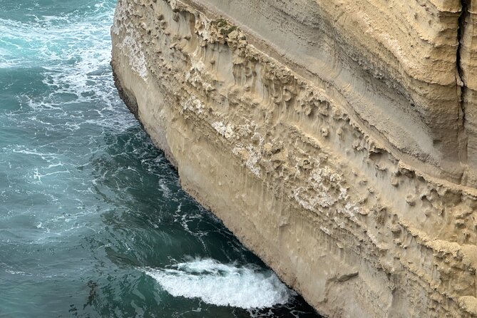 Great Ocean Road 12 apostles PRIVATE Luxury Tour 5 PAX all incl. - Mait’s Rest: A Rainforest Walk That’s More Than a Straight Path
