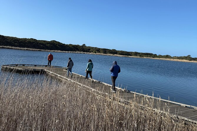 Great Ocean Road and 12 Apostles Private Day Tour - Lorne and Apollo Bay: sea-town breaks that keep the day human