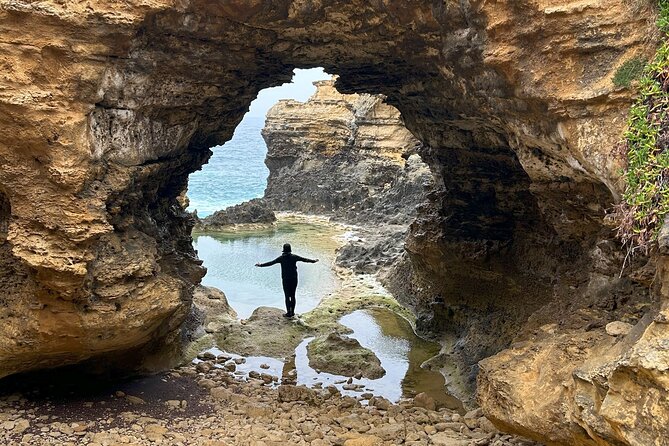 Great Ocean Road and 12 Apostles Private Day Tour - Maits Rest boardwalk: the rainforest reset between coast icons