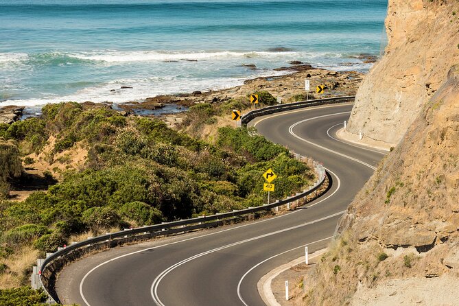 Great Ocean Road Coastal Spectcular with Wildlife Wonders - Reverse-Direction Great Ocean Road: A Smarter Crowd Strategy