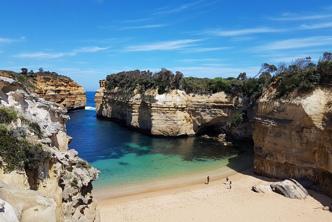 Great Ocean Road Coastal Spectcular with Wildlife Wonders - Gorge Chocolates: Alpacas, Hot Drinks, and a Simple Local Start
