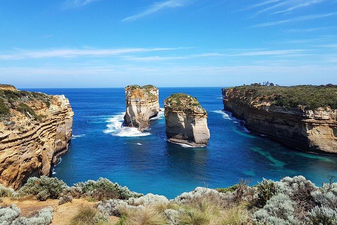 Great Ocean Road Coastal Spectcular with Wildlife Wonders - Lorne, Memorial Archway, and Anglesea Kangaroos