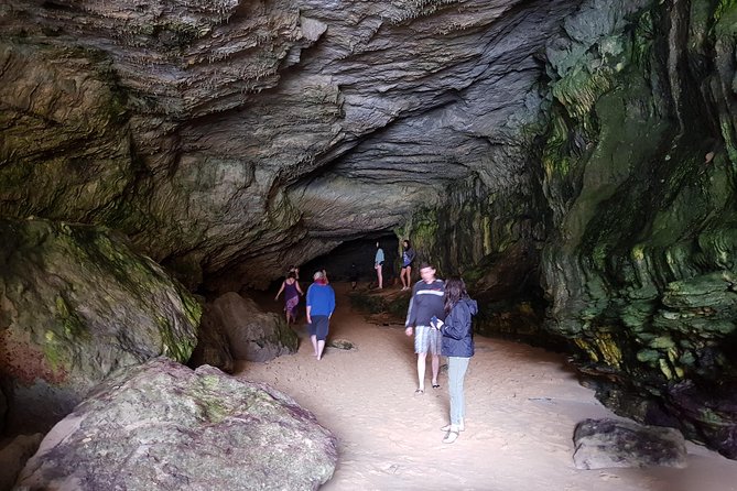Great Ocean Road Full Day Private Experience - Wildlife spotting in the wild: koalas, kangaroos, and native birds