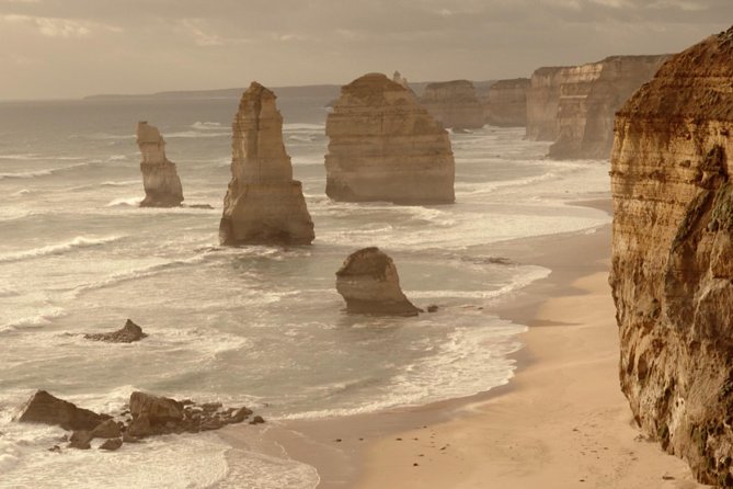Great Ocean Road Grampians 2 Day Overnight Tour from Melbourne - Great Otway National Park rainforest walk: your legs get a break