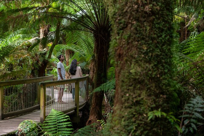 Great Ocean Road Grampians 3 Day National Park Tour Melbourne Roundtrip - Key things to know before you go