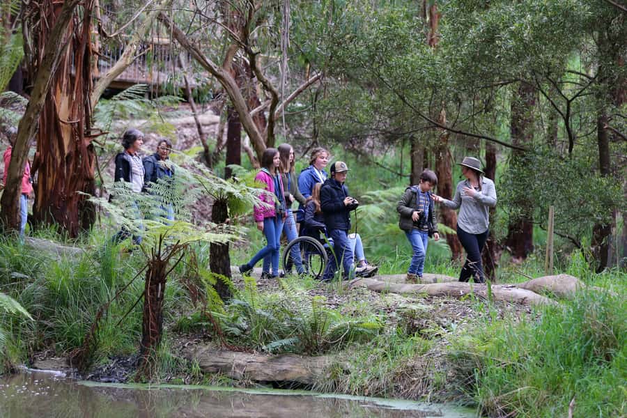 Great Ocean Road: Guided Wildlife Walk that Supports Nature - Key highlights worth your time