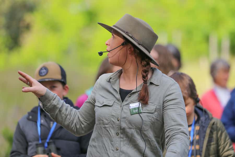 Great Ocean Road: Guided Wildlife Walk that Supports Nature - The 1.4km Gentle Path: Tree Fern Gully to Eucalyptus Woodland