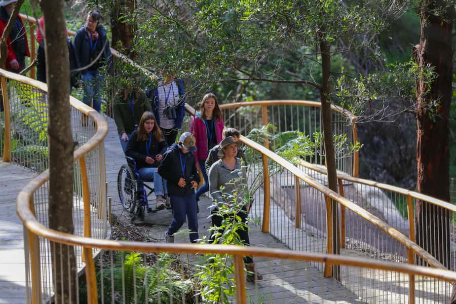Great Ocean Road: Guided Wildlife Walk that Supports Nature - Price and Value: Why $41 Can Feel Fair