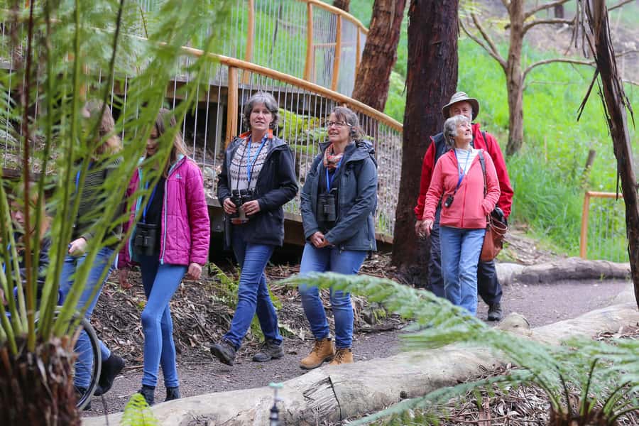 Great Ocean Road: Guided Wildlife Walk that Supports Nature - Weather, Flash Rules, and What to Bring