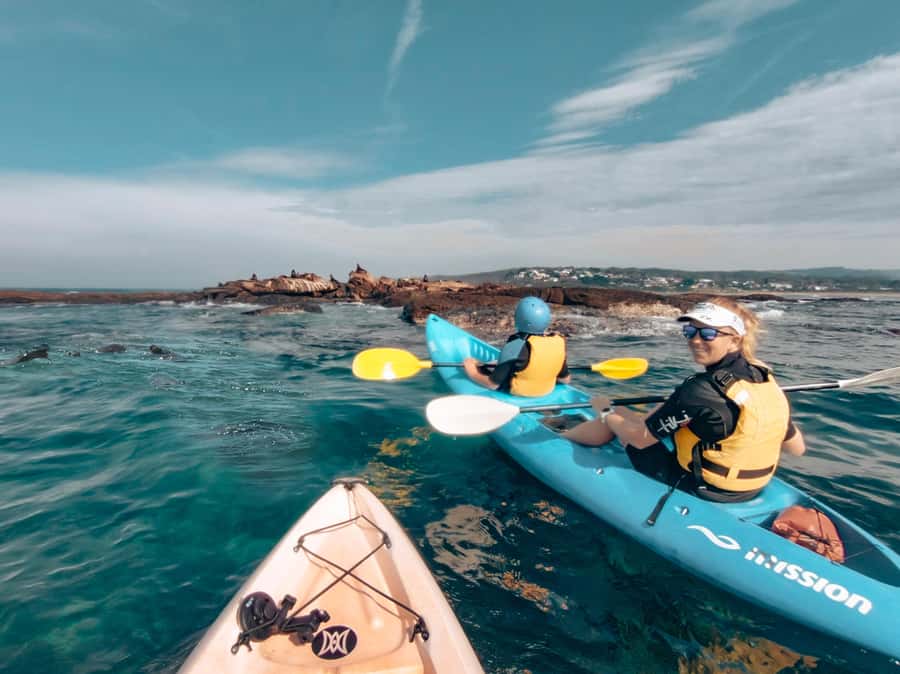 Great Ocean Road: Kayaking with Seals Tour - What it’s like to watch Australian fur seals close up
