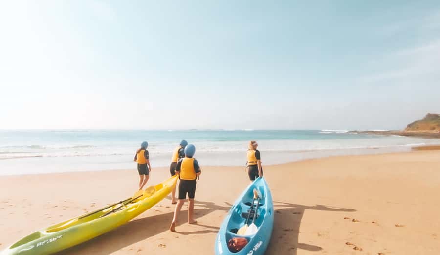 Great Ocean Road: Kayaking with Seals Tour - Who should book this seal kayak tour, and who should skip it