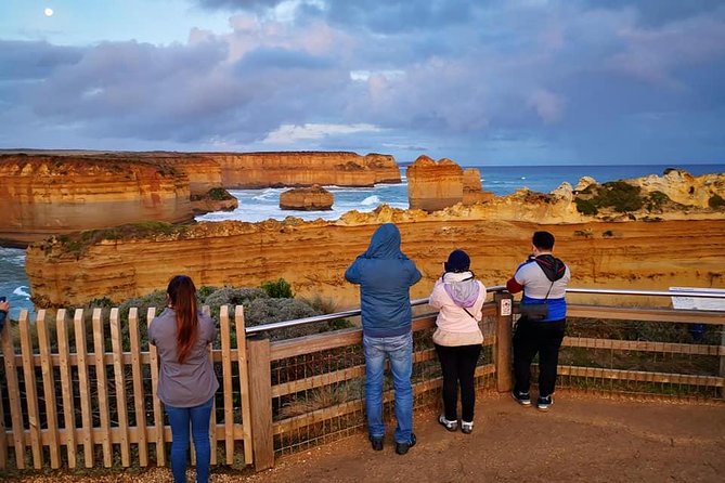 Great Ocean Road Medium Size Group Tour - Wildlife spotting and rainforest walks: how the tour adds variety