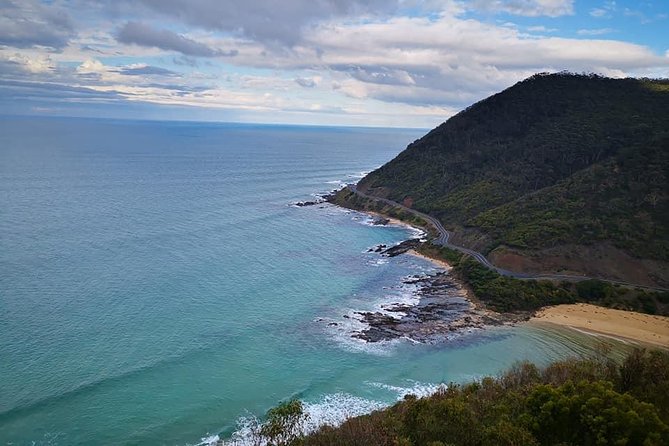Great Ocean Road Medium Size Group Tour - Price and value: is $114.76 really a fair deal?