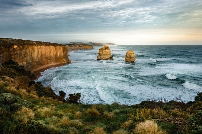 Great Ocean Road Must-See Extended Tour – 12 Apostles & Beyond - Stop 6: Koala Chance Near Barham River Road