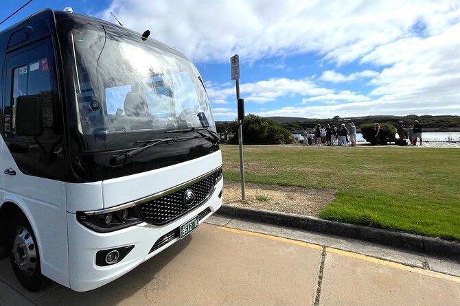 Great Ocean Road Must-See Extended Tour – 12 Apostles & Beyond - The Otways Moment: Passing Through Great Otway National Park