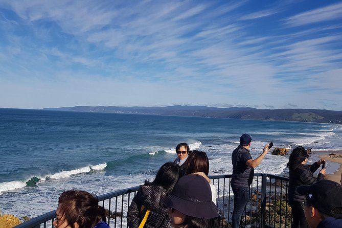 Great Ocean Road Private Luxury Tour - Great Ocean Road Memorial Archway and photo stops that actually earn their time
