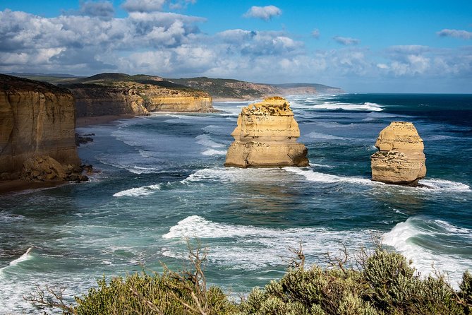 Great Ocean Road Reverse Rainforest & 12 Apostles from Melbourne - Wye River and koalas: the thrill of not forcing it