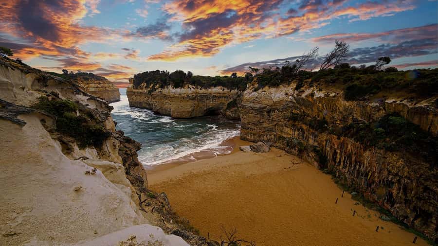 Great Ocean Road Reverse Tour London Bridge Wildlife - Tour options: Classic coach, Mid-Size, or Premium Mercedes van