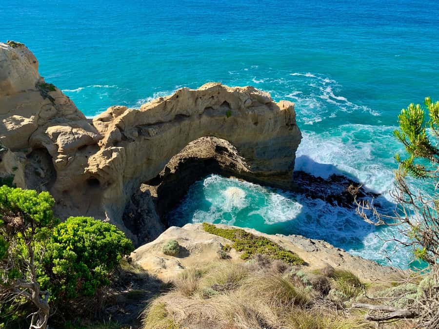 Great Ocean Road Reverse Tour London Bridge Wildlife - The 13-hour reality: Melbourne pickup, travel time, and comfort