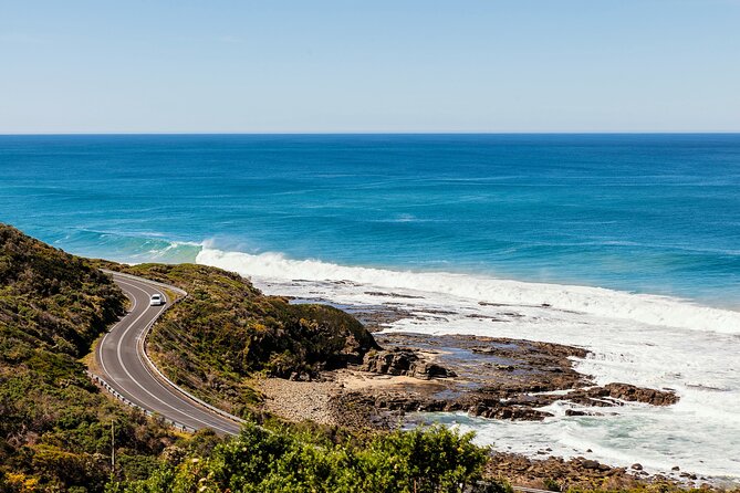 Great Ocean Road Reverse Tour with Iconic Stops & Wildlife - Loch Ard Gorge: a fast hit of dramatic cliffs