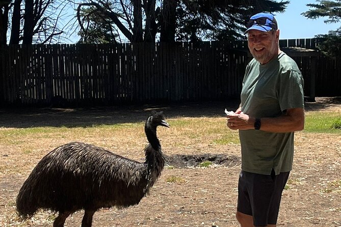 Great Ocean Road Small Group Tour with Dingos, Sparkling & Lunch - The pacing math: how a 12-hour day feels in real life