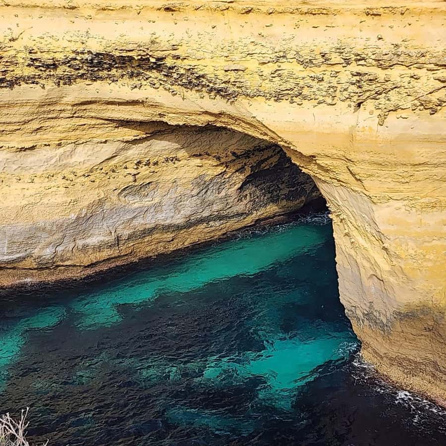 Great Ocean Road Tour Melbourne Relaxed Way In Premium coach - 7:00AM Reverse Route: Beating the Great Ocean Road Crowd Wave