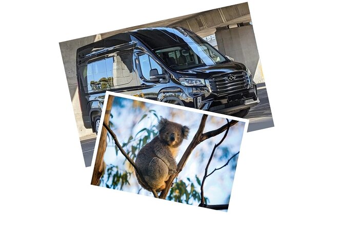 Great Ocean Road Tour Reverse –SML GRP-DLUX Mini Bus Hotel Pickup - Reverse timing: why starting with the 12 Apostles changes everything