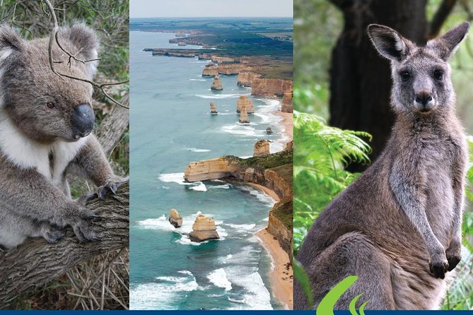 Great Ocean Road Ultimate Two Day Tour - Day 2: Mait’s Rest to the Twelve Apostles and back to Melbourne