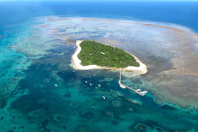 Green Island Day Trip from Cairns with Beaches Transfers - Key things to know before you go
