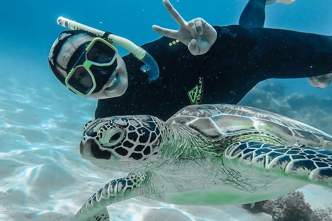 Green Island Day Trip from Cairns with Beaches Transfers - Snorkelling reality check: easy access, but don’t assume perfect coral