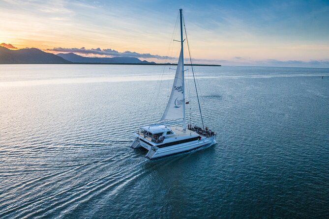 Green Island Full Day Trip from Cairns with City Transfers - Great Barrier Reef wildlife: what you can hope to spot