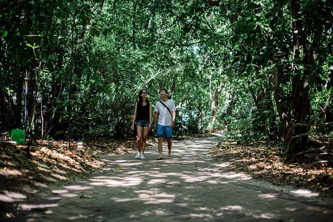 Green Island Full Day Trip from Cairns with City Transfers - Food on board and on Green Island: buffet lunch and practical needs
