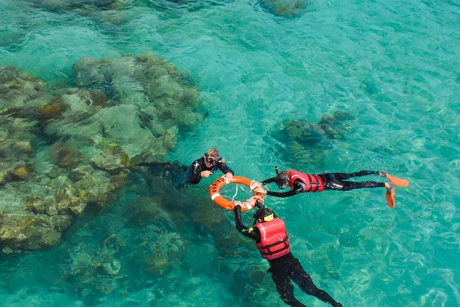 Green Island Full Day Trip from Cairns with City Transfers - Price and value: when this day trip makes sense