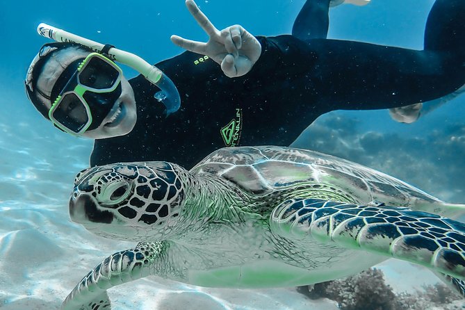 Green Island Full Day Trip from Cairns with City Transfers - Snorkeling vs glass-bottom boat: pick your comfort level